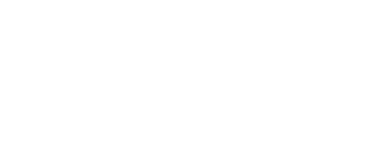 Link Disc Golf
